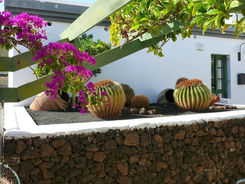Apartamentos Guacimeta Matagorda  외부 사진